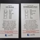 🌸서울사케페스티벌 2026 후기🌸