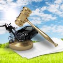 시우행정사 사무소 이미지