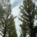 매화마트 | [담양] 매화 군마트(WA Mart) PX 방문 후기