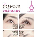 뮤뮤속눈썹