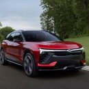 TIM모터스 이미지