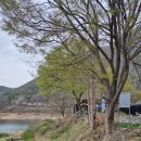 창수상회 네이버블로그