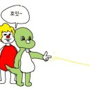 레이지아웃