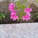 고암농장 이미지