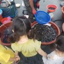 중남식당 이미지