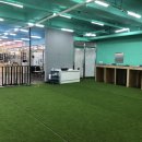 프린스 펫타운 이미지