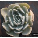 라운드리 이미지