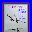 축복의통로 이미지