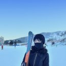 제트스키스쿨 | 휘닉스파크 강습센터 제트스키스쿨 휘닉스파크 스키강습 받고온 후기입니다.