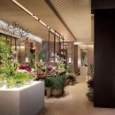 하얏트호텔 이미지