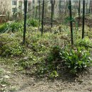 (주)정원 이미지