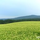 농업회사법인 (유)자연산업 이미지
