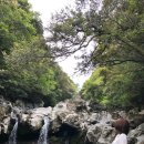 우진카랜드 이미지