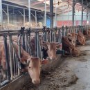 기북농장 이미지