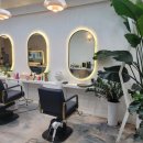 닛시헤어 이미지