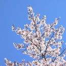 안성컨트리클럽 이미지