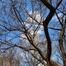 서울숲3 이미지