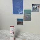 옥수수 펫샵 이미지