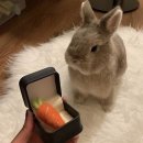 동글동글 이미지