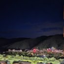 소노펠리체 비발디파크 이미지