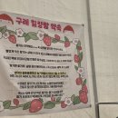 지수농장 | 전남 구례 딸기농장 딸기 모찌 만들어 먹는 체험, 처음해봤어요.