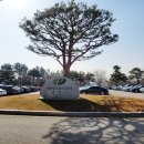 라운딩 | 파미힐스CC 라운딩 후기 대구 근교 칠곡 왜관 골프장 추천