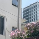 쩡아분식 이미지