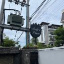캄보디아 시엠립 펍스트릿 근처 가성비숙소호텔 추천 앤디스플레이스 Andy&#39;s place