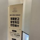 88헤어갤러리 | 솔직후기) 오키드/오키드 스튜디오 메이크업 헤어 프로필 촬영 (가기 전에 알아두면 좋은 정보들!!)