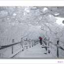 눈으로보는세상 이미지