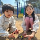 소나무펜션 | 안동 놀이터 마애솔숲공원 산책 아이랑 경북 여행
