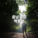 금오산(칼다봉)_숲길(등산)2코스 | 충남 홍성 백월산 등산 후기(산혜암 등산 코스 시간, 주차장)