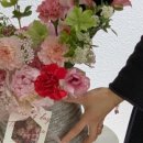 유비아플레르