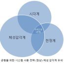 기능동작아카데미 이미지