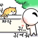 삼층고양이 이미지
