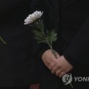 더살다 이미지