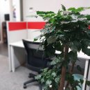 축구센터 회의실(대세미나실A) | 대구 수성구 비상주사무실/회의실 세미나실 대관/비즈온24/예약가 이용 시 저렴