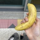 [ 대구여행 ] 2박 3일 먹짱이 된 자칭 미식여행 이야기☀️