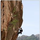 장군봉 농장 이미지