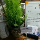 금가네들꽃밥상(원흥점) | 고양 음식축제 금상에 빛나는 원흥/도래울 맛집 &#34;들꽃밥상&#34;의 가성비갑!!! 코다리조림