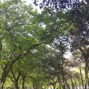 인하대역사 이미지