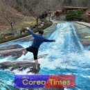 툭아트