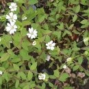 위드온미 이미지