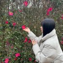 현대자동차 광희점 | :: 제주 :: 예쁘고 멋진 거 눈에 가득 담은 3박 4일