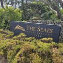 이요안 | 제주숙박 추천 씨에스호텔 로얄 스위트 후기