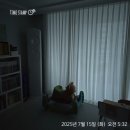 탑클래스제이영어교습소 | 책엄마 마지막 + 이웃님들과의 만남 | [습관 챌린지] 540일~546일차