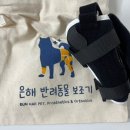 댕댕이꺼 | 다리가 불편한 댕댕이 뚜띠에게 은해펫 맞춤 보조기...우리막내를 도와줄 강아지보조기 은해펫 솔직후기!