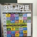 밴드 테라피 요가 | 애니원요가 선유도점 | 선유도역 요가, 휠 테라피 뻐근한 허리 스트레칭 체험