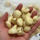 야근은 필수 이미지