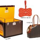 도도한강아지 이미지